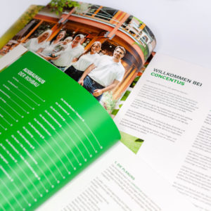 Concentus Fachwerkhaus Imagebroschuere Baubeschreibung Druckerei Broschuere Katalog Layout 190