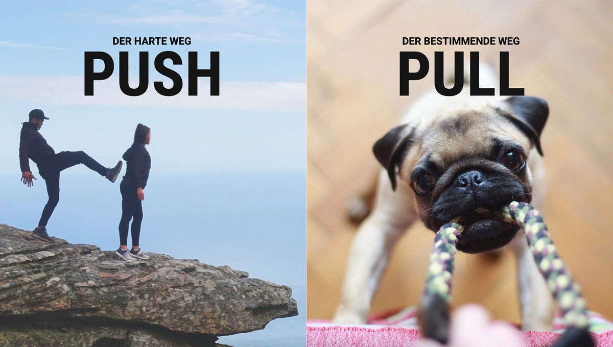 Push Pull Marketing Richtige Strategien