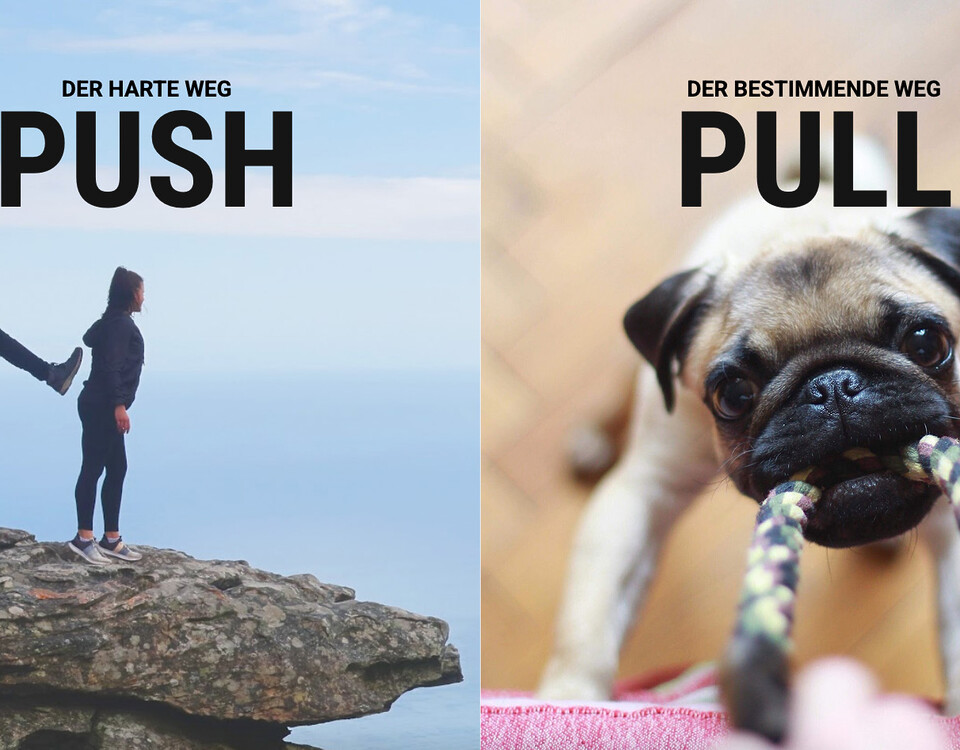 Push Pull Marketing Richtige Strategien